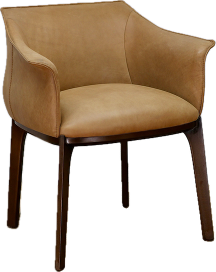 Montel Leather Chair
