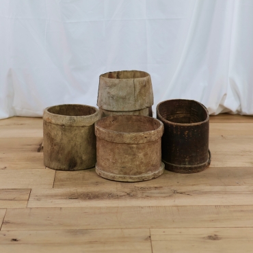 WD69 SMALL HORNBEAMS