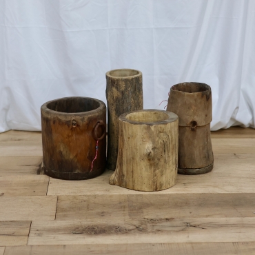 WD69 MEDIUM HORNBEAMS