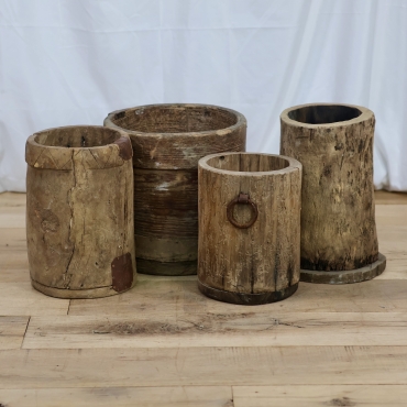 WD69 LARGE HORNBEAMS